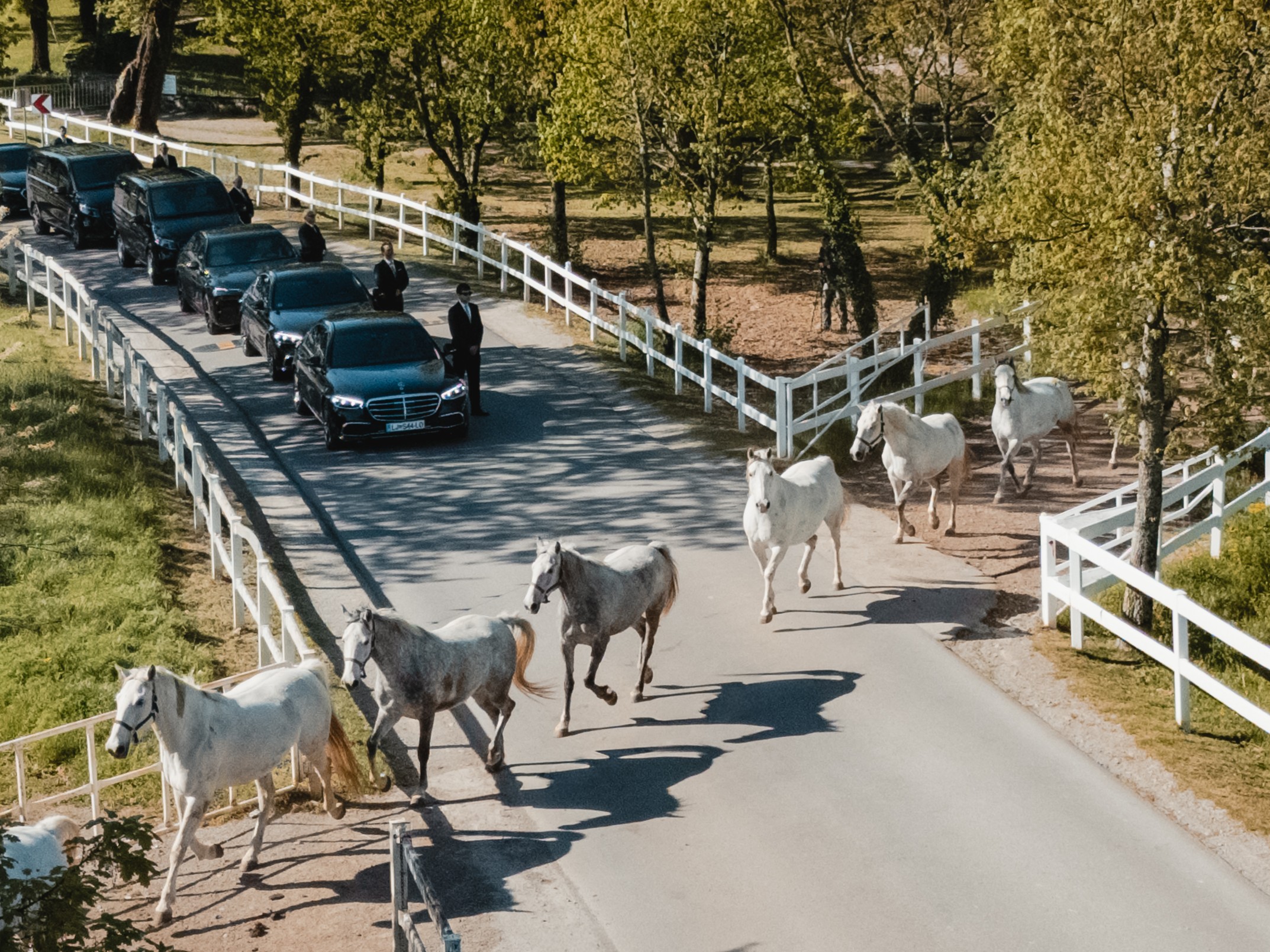 Lipica Stud Farm